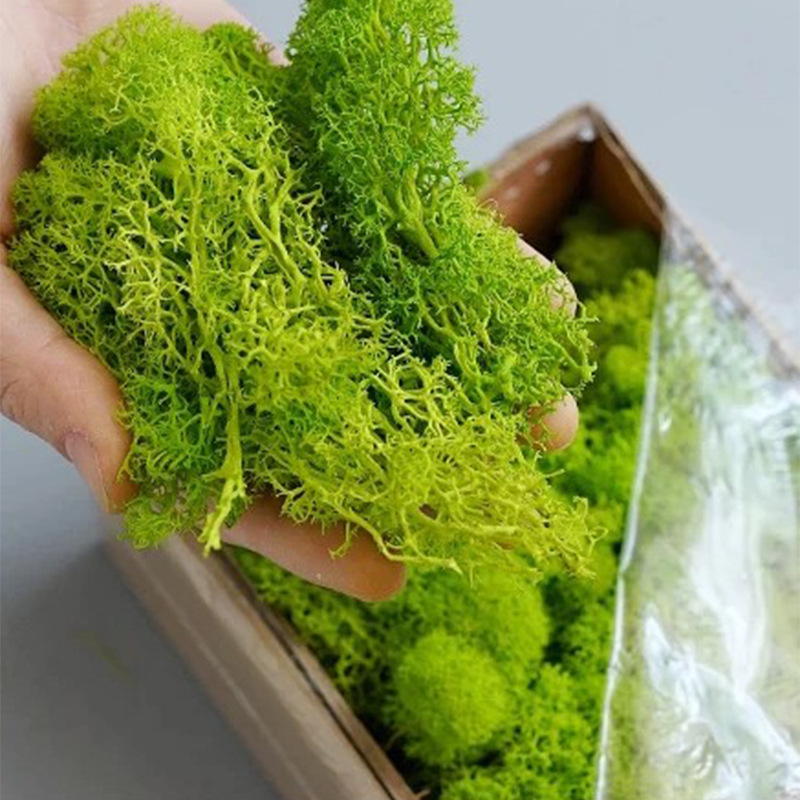 Sphagnum Moss Dry - Sztuczne rośliny zielone wieczne życie mech