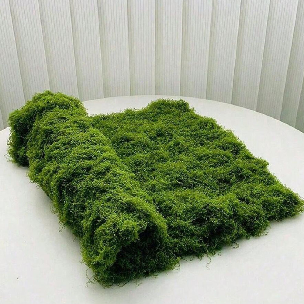 Sphagnum Moss Dry - 1*1m Sztuczny Mech DIY Rękodzieło Trawa
