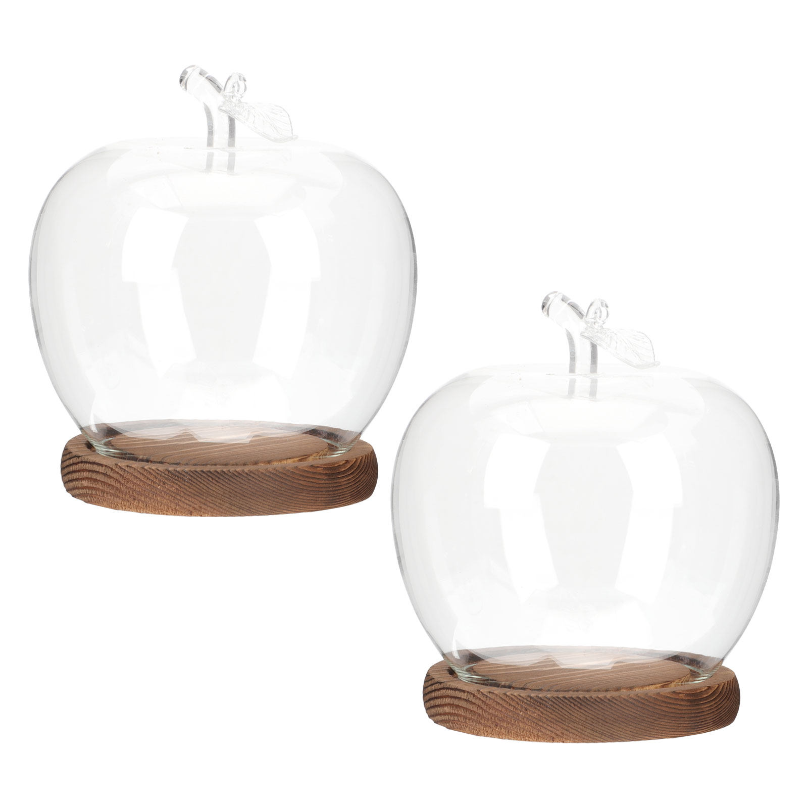 Plastic Dome Clear - 2 sztuki przezroczystych szklanych kopuł z