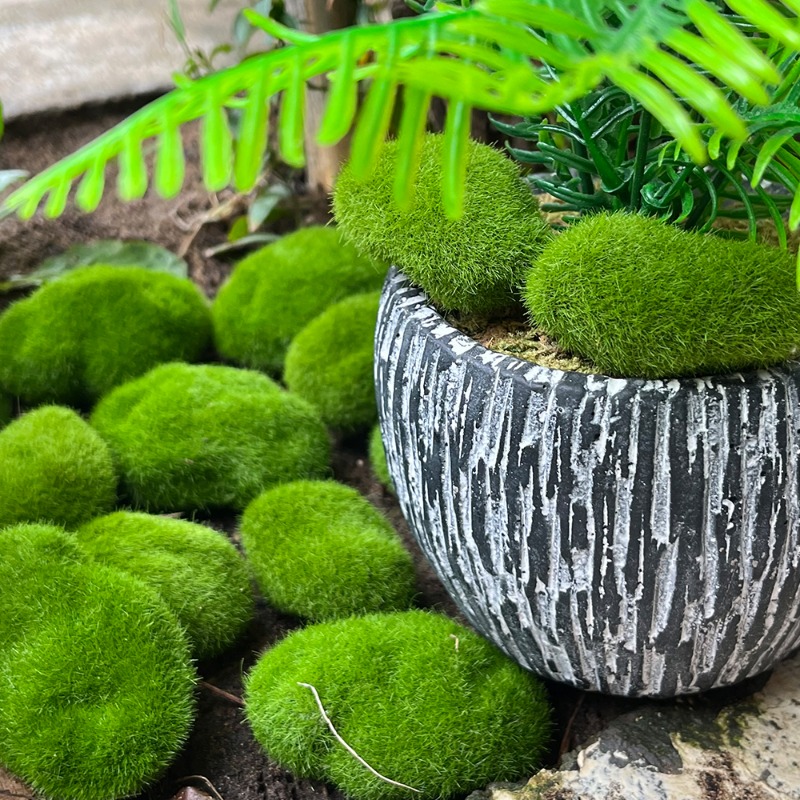 100/5 SZT. Sztuczne Kamienie z – Sphagnum Moss Dry recenzja i cena