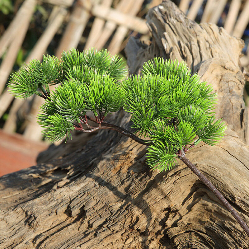 42cm Sztuczna roślina Gałąź so – Sphagnum Moss Dry recenzja i cena