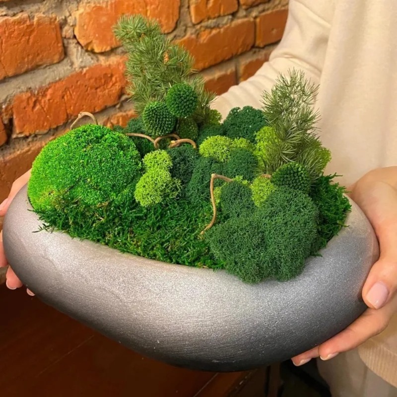 Sztuczny zielony mech, mech im – Sphagnum Moss Dry recenzja i cena